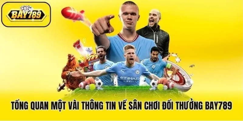 Thông tin tổng quan về Bay789